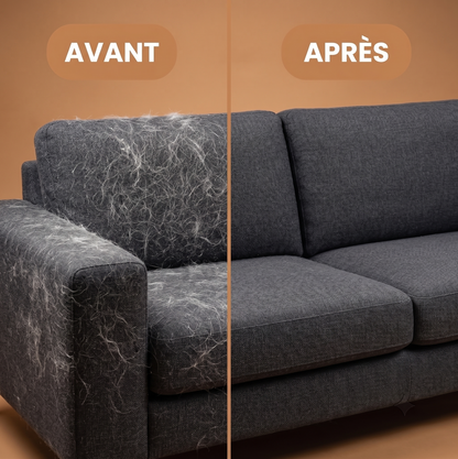 Avant / après : canapé débarrassé des poils avec le Gant Animol™